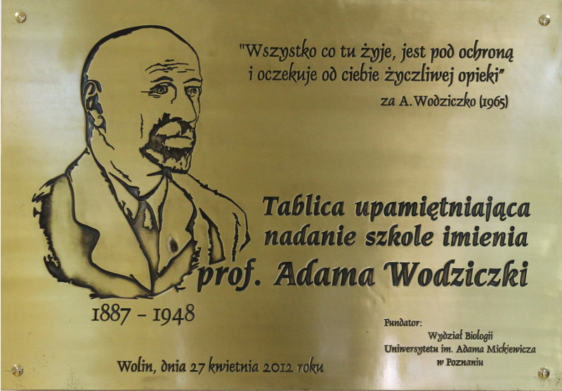 prof. Adam Wodziczko